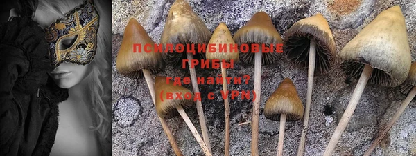 дурь Володарск